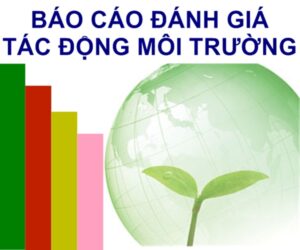 moi-truong-cay-xanh-1