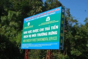 moi-truong-rung-1
