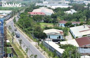 mot-goc-hoa-khanh