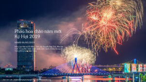 phao-hoa-chao-nam-moi-ky-hoi-2019-1
