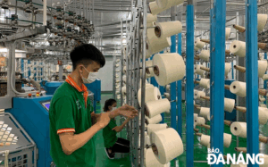 production-activities
