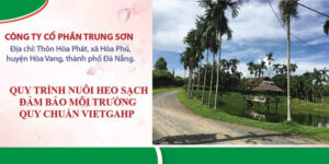 quy-trinh-nuoi-heo-1