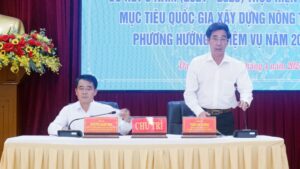 so-ket-3-nam-chuong-trinh-xay-dung-muc-tieu-nong-thon-moi-1