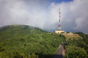 son07993