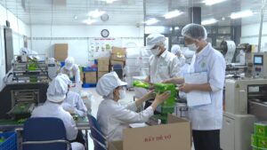 t4-28-ps-ocop-tang-cuong-san-xuat-cao-diem-mp4-snapshot-01-29-803-1