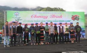 tang-sam-ngoc-linh-tra-linh-1