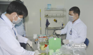 test-rau-cu-1