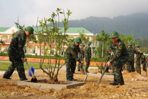 tet-trong-cay-2024-10-1
