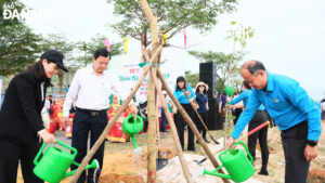 tet-trong-cay-2024-4-1