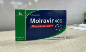 thu-e1-bb-91c-molravir-400-c4-91-c6-b0-e1-bb-a3c-b-e1-bb-99-y-t-e1-ba-bf-c-e1-ba-a5p-ph-c3-a9p-l-c6-b0u-h-c3-a0nh-1