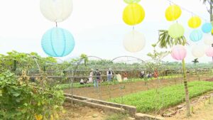 tin-6-5-25-du-lich-nong-nghiep-mp4-snapshot-00-23-5b2024-08-21-12-00-20-5d-1