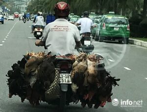 xe-cong-kenh-1