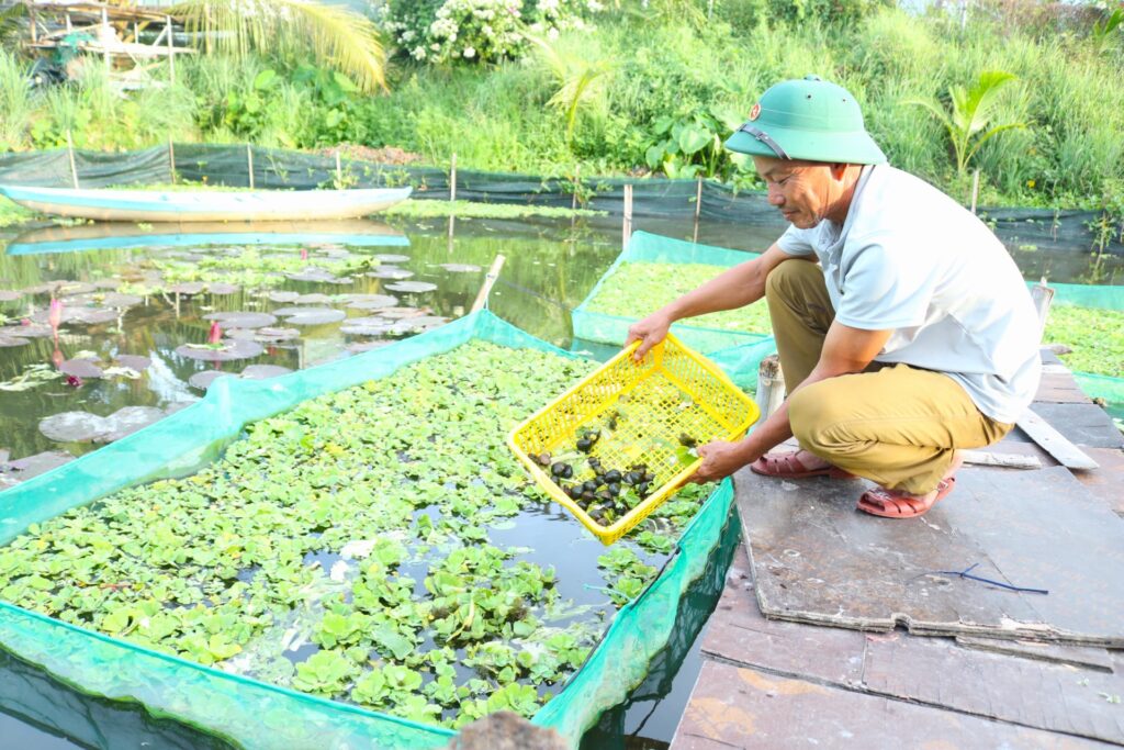 Quy ho tro nong dan thanh pho Da Nang