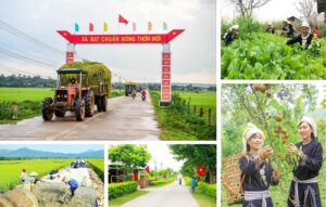 nong-thon-moi-17670091958871536349805