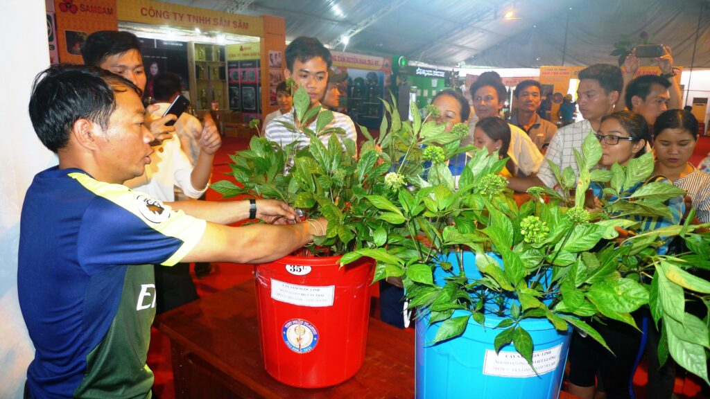 Chuong trinh nghien cuu sam Ngoc Linh 2026 2035 1