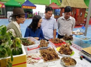 Phien livestream sam Ngoc Linh dau nam 2026