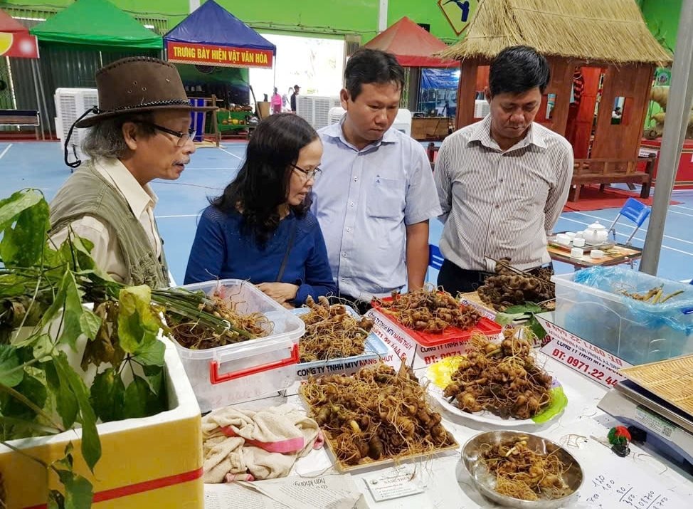 Phien livestream sam Ngoc Linh dau nam 2026