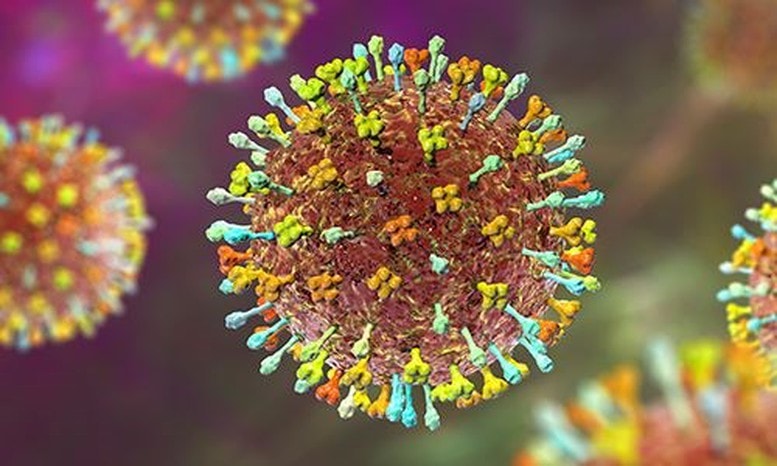 Virus Nipah