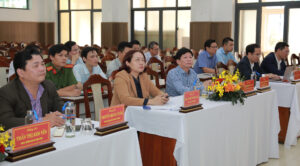 Phuong Hai Chau phan dau 100 ho so dien tu