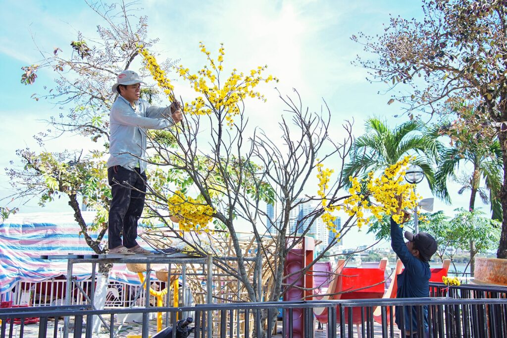 TRANG TRI HOA TET 1