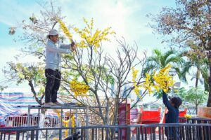 TRANG TRI HOA TET (1)