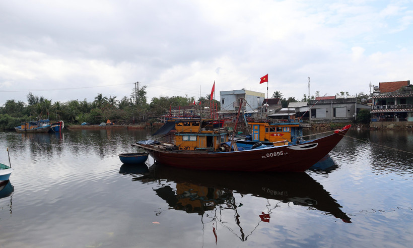 da nang restructures fleet to protect marine resources