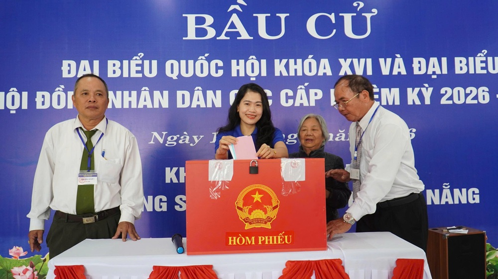 Cu tri bo phieu 11
