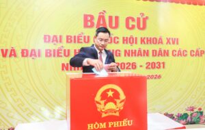 Cu tri bo phieu_13