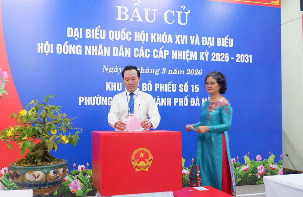 Cu tri bo phieu 5