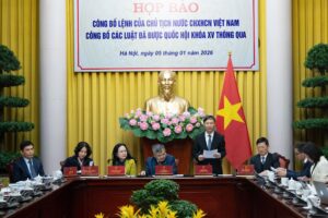 Luật CĐS