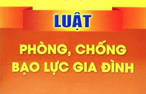 Luat phong chong bao luc gia dinh