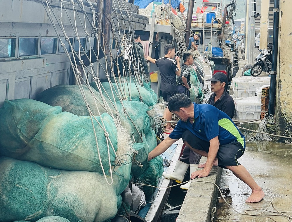 Ngu dan huong ve ngay hoi non song 1