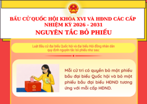Nguyen tac bo phieu