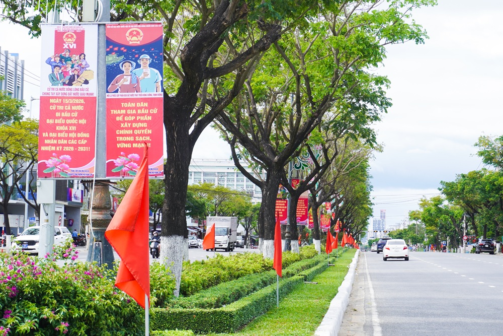 Phuong Ngu Hanh Son co hoa ruc ro 1