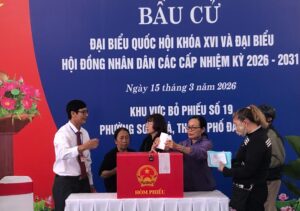 Sau bau cu 2026