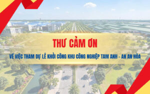 Thu Cam on
