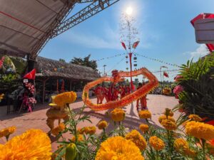 img_1559