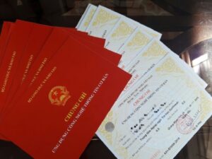 văn bằng chứng chỉ là gì-timviec365.com.vn