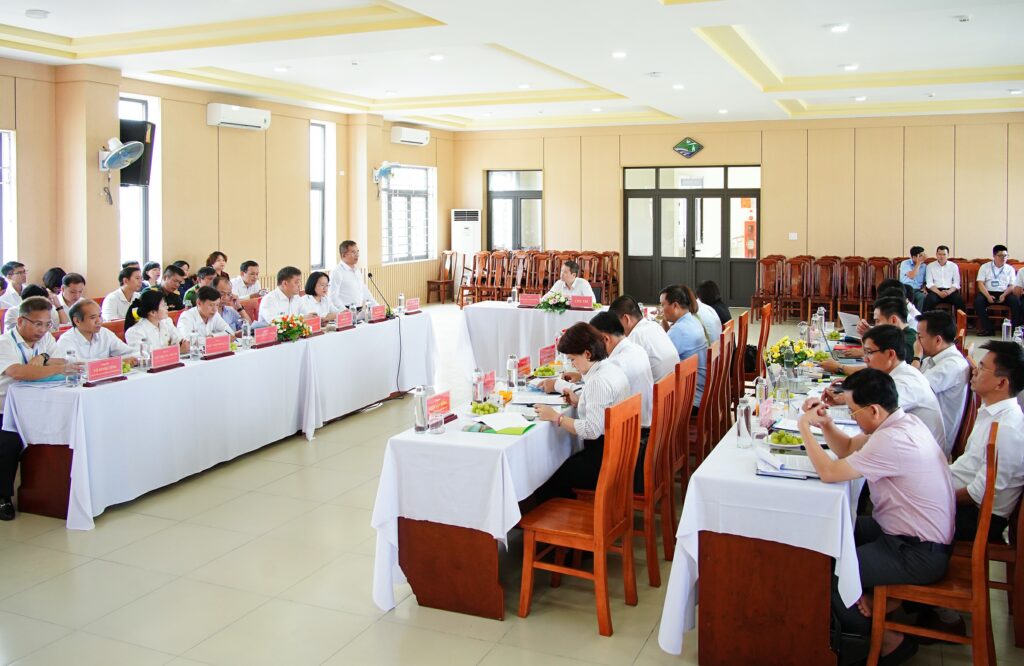 Lam viec voi phuong Son Tra 2026 2 1776048517