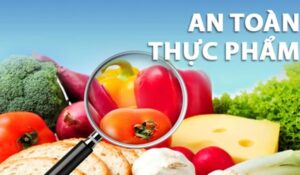 nghi-dinh-15-2018-an-toan-thuc-pham-17756264259421734625244
