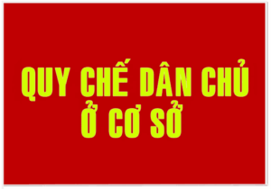 Quy che dan chu co so