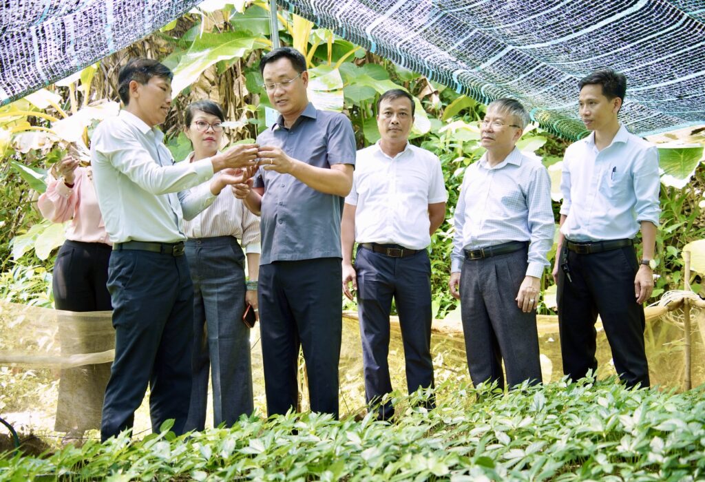 Tham vung trong Sam Ngoc Linh 2 1778725782