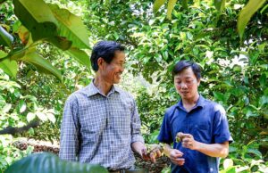 4 xa Tay Nam thanh pho_2