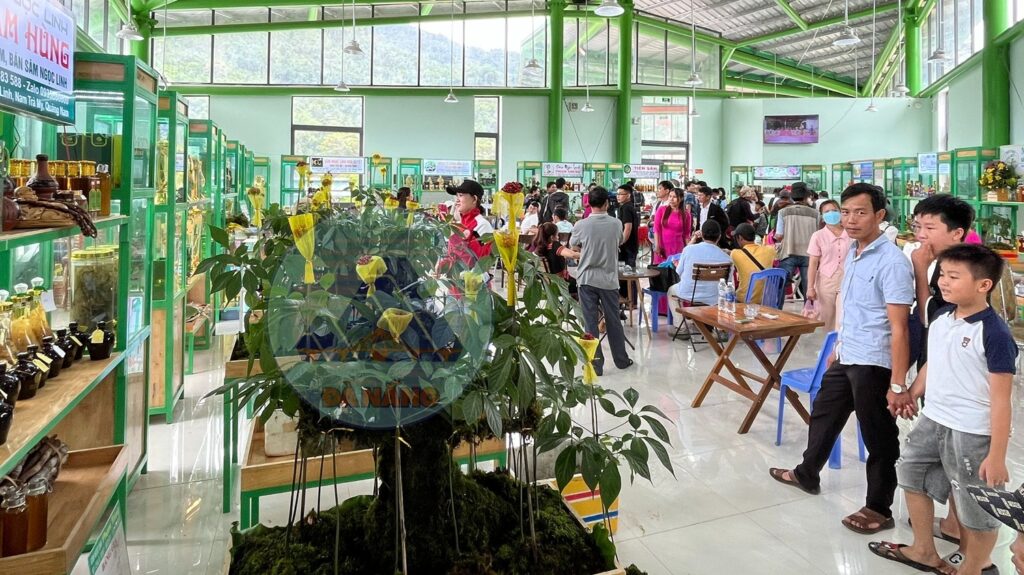 Bao ton sam ngoc linh 1780281186