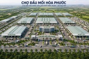 Cho dau moi Hoa Phuoc