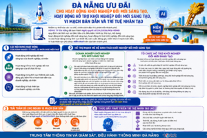 NQ 24 – Info