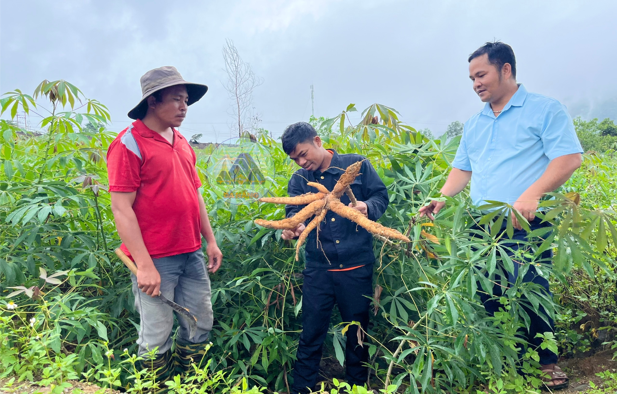 Phuoc Chanh Phuoc Thanh 2 1780626523