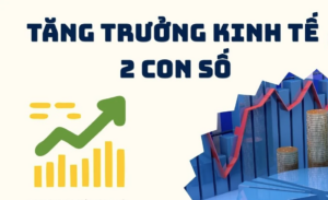 Tang truong 2 con so