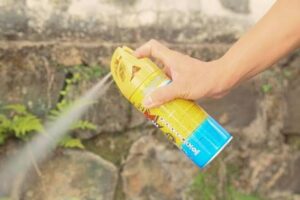 Thuoc diet muoi