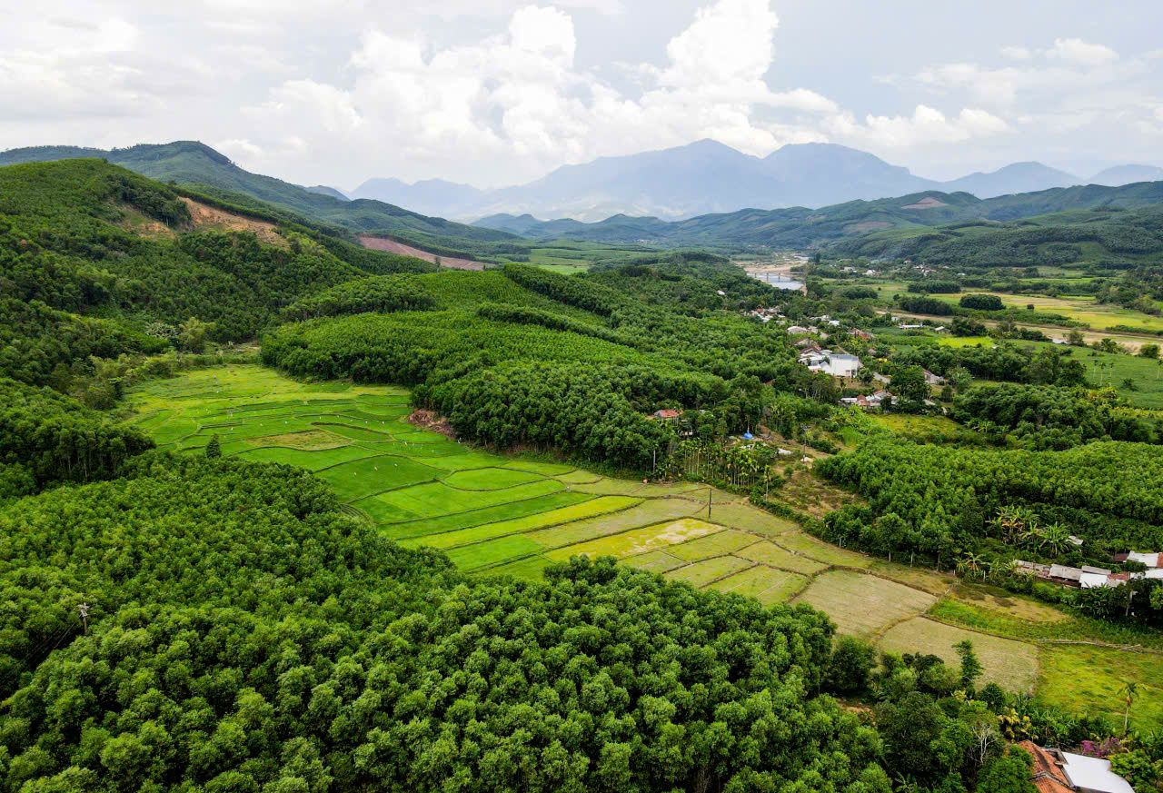 Lam nghiep ben vung 1782872597